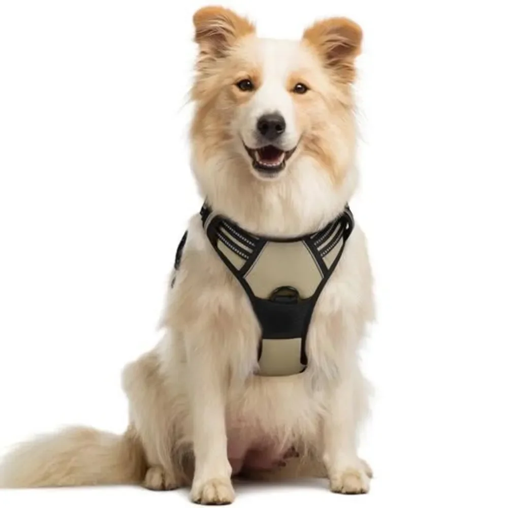 Rabbitgoo Dog Harness No Pull with 2 Leash Clips